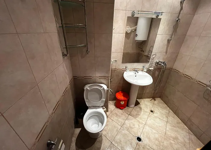 Alexandr Vigo Daire *