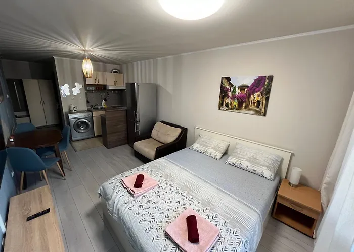 Daire Alexandr Vigo Misivri