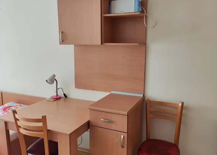 Alexandr Vigo Misivri