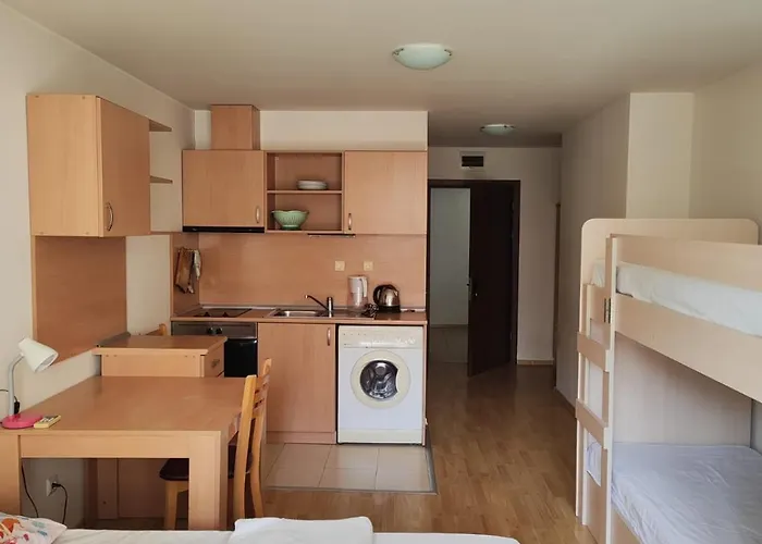 Alexandr Vigo Daire *